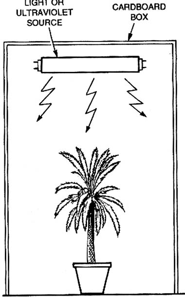 A dark room or a cardboard box can be used as a controlled environment, where in a plant or other subject can be exposed to various forms of artificial stimuli.
