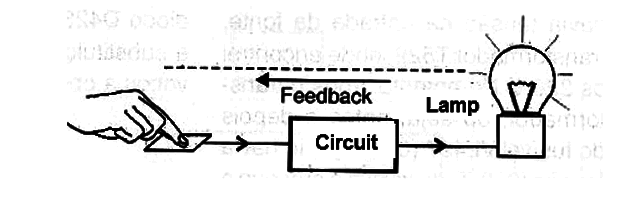 Figure 1 - Visual Biofeedback
