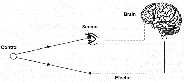 Figure 1 - Feedback
