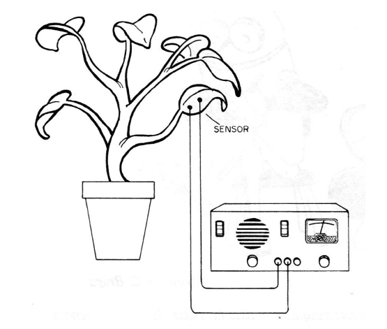  Figure 1 - Practical application
