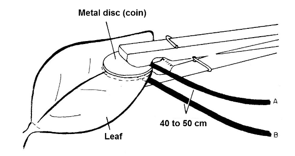 Figure 13 - Experiment with plants
