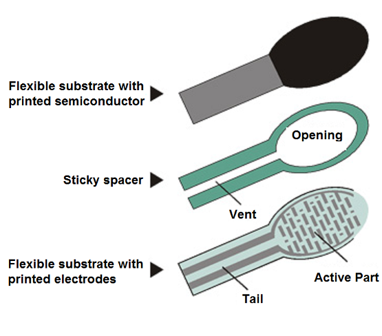 Figure 2 - Sensor Structure
