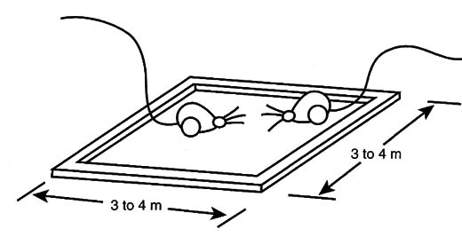 Figure 3 – RobComs in the arena
