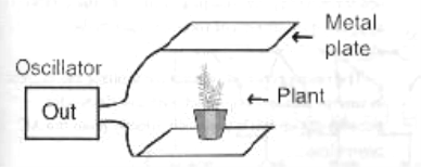 Figure 4 - Irradiating signals for experiments in bionics
