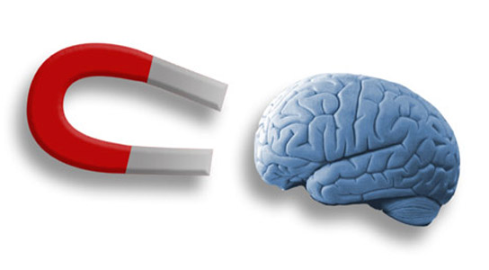 Figure 1 - Our brain has magnetic particles capable of interacting with an external field
